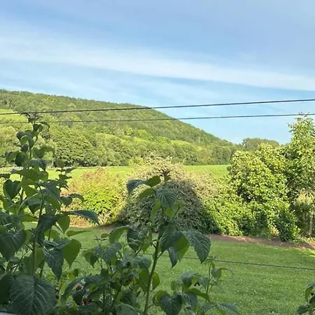 Apartment Route De Vin *